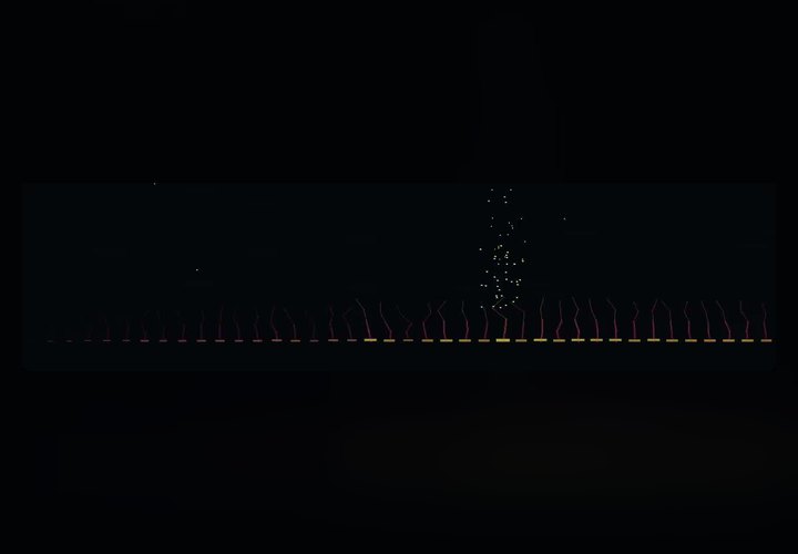 Pyre — Rust visualiser